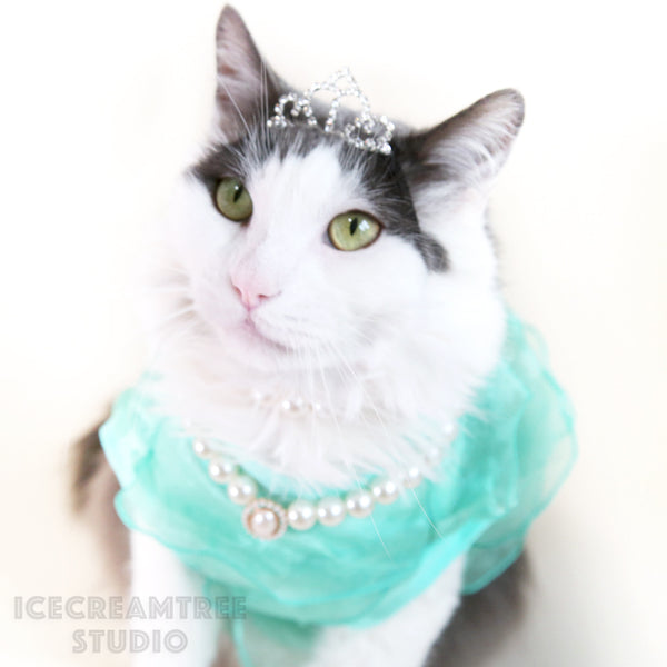 Mint Mermaid Top Dress Outfit Set - Pet Clothing
