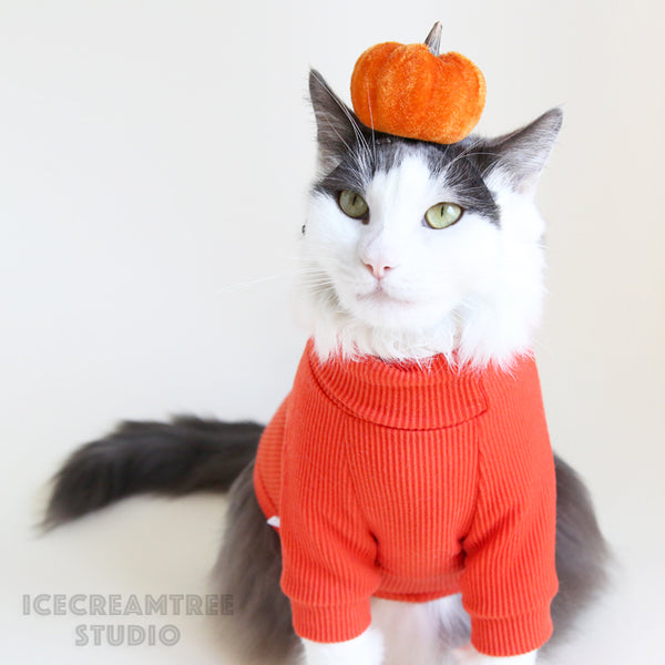 Pumpkin Headband - Pet Photo Prop