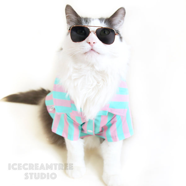 Ken Inspired Look Outfit Set - Pet Clothing