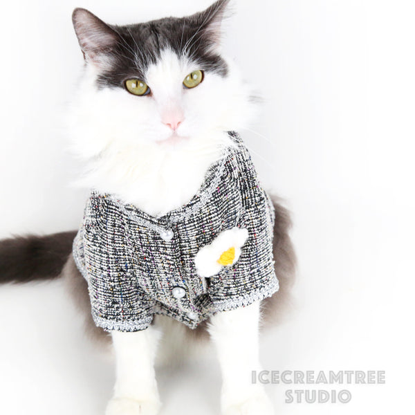 Kpop GD Inspired Outfit Set - Pet Clothing