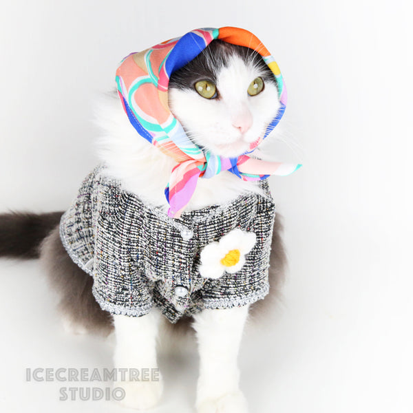 Kpop GD Inspired Outfit Set - Pet Clothing