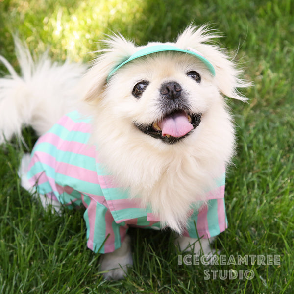 Ken Inspired Look Outfit Set - Pet Clothing