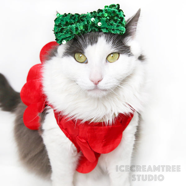 Red Multi Circle Fringe Party Outfit Set - Pet Clothing