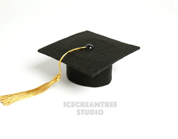 Graduation Gown Cap Stole Set - Pet Costume