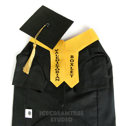 Graduation Gown Cap Stole Set - Pet Costume
