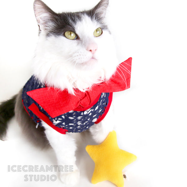 Navy Star Hallow Out Top Outfit Set - Pet Clothing
