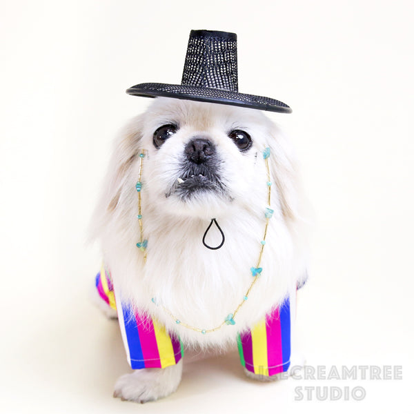 Korean Gat Hat - Pet Petite Hat