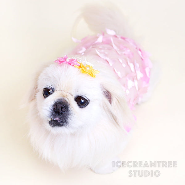 Aqua Mint 3D Butterfly Mesh Top - Pet Clothing
