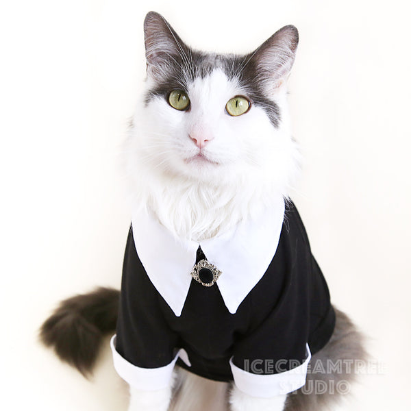 Wednesday Look Outfit Set - Pet Clothing