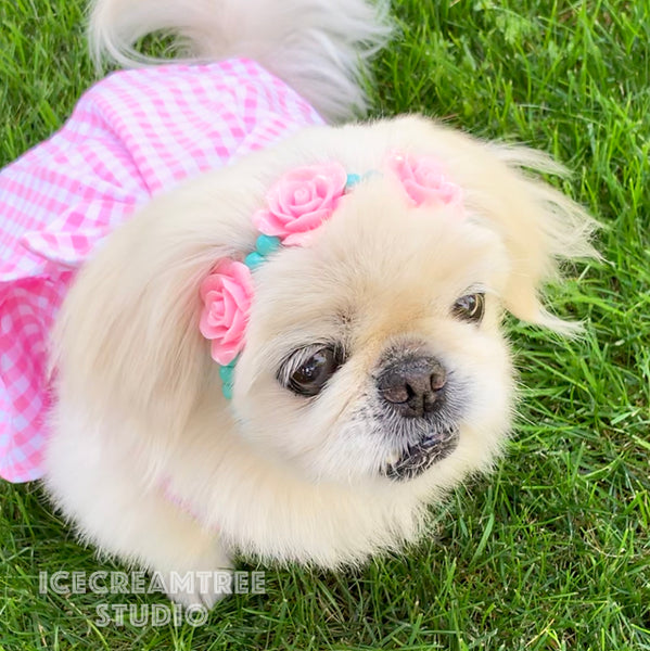 Barbie Inspired Look Dress Set - Pet Clothing