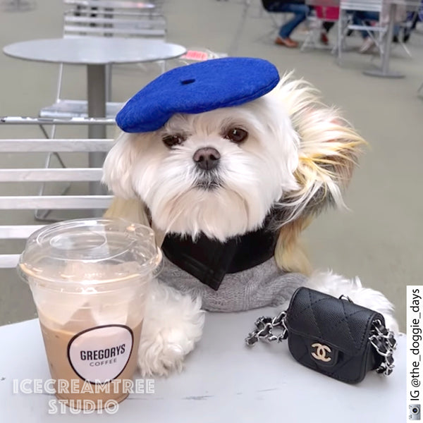 Cobalt Blue Beret Hat - Pet Petite Hat