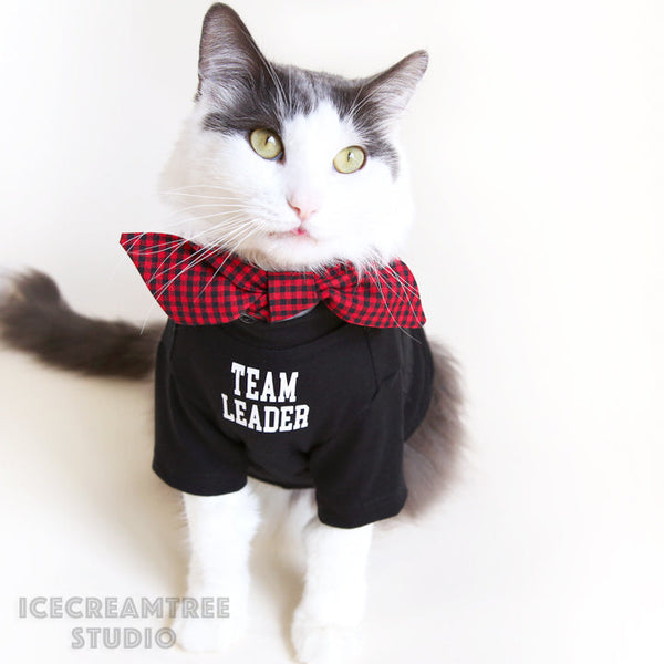 Customized I'm Pet + Mom White Tshirts Set - Pet and Human Clothing