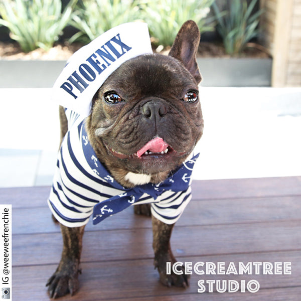Sailor Look Outfit Set - Pet Clothing
