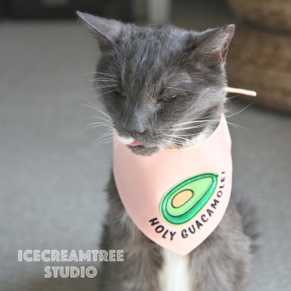 Lucky Charm Bandana - Tie on Modern Pet Bandana Scarf