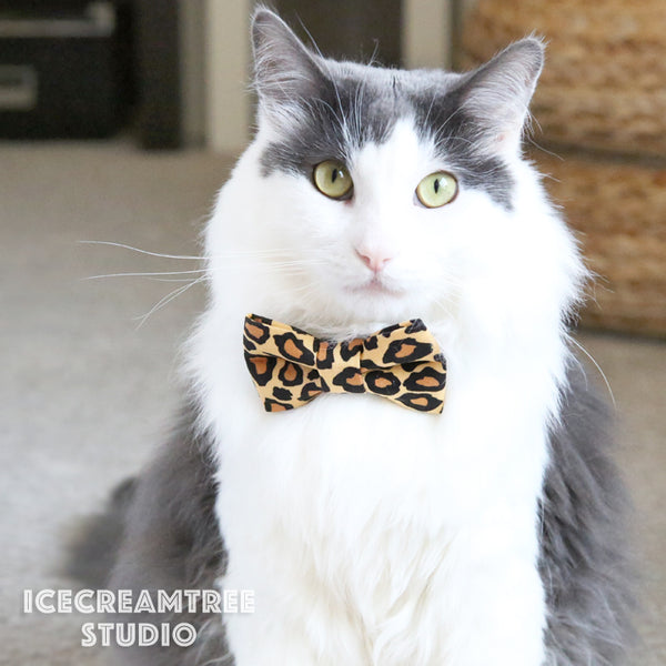 Black Bird Garden Bow Tie - Pet Bow Tie