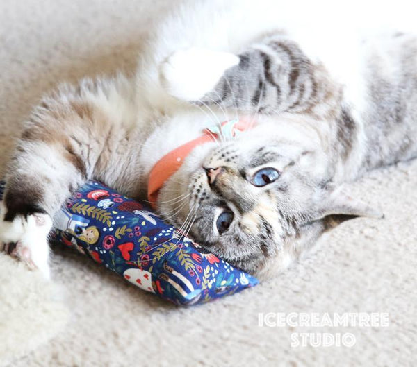 Neon Popsicles Catnip Kicker - Large Catnip Toy