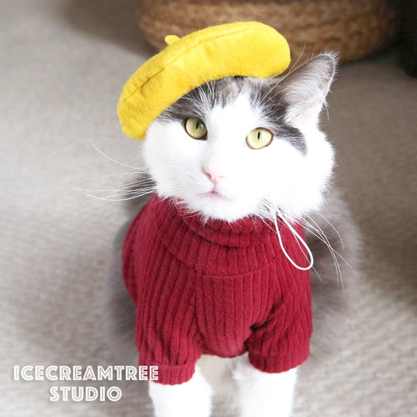 Cobalt Blue Beret Hat - Pet Petite Hat