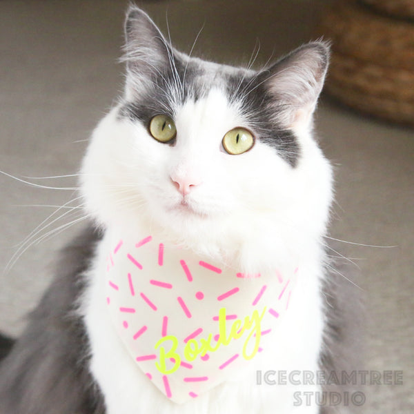 Neon Pink Sprinkles Bandana - Tie on Modern Pet Bandana Scarf
