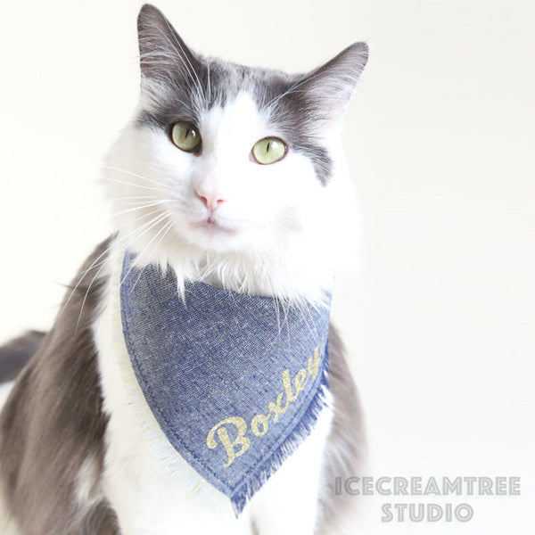 Baby Blue Paisley Bandana - Tie on Classic Pet Bandana Scarf