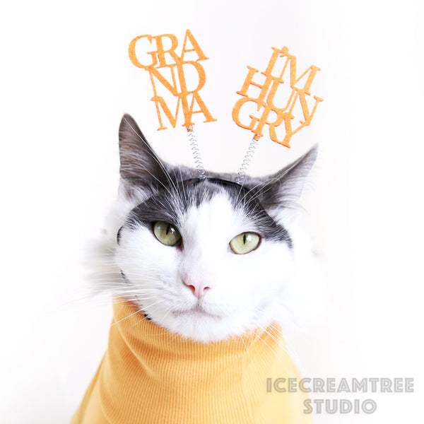 Grandma I'm Hungry Headband - Elastic Pet Collar