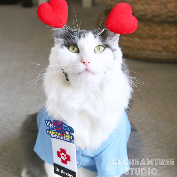 Medical Scrub Top Set - Pet Clothing