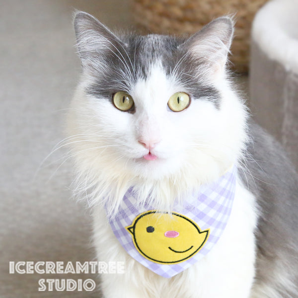 Turquoise Gingham Check Foxy Bandana - Tie on Modern Pet Bandana Scarf