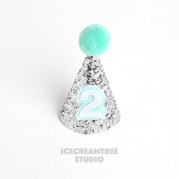Silver Sparkle Base Custom Birthday Hat - Pet Birthday Hat