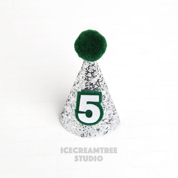 Silver Sparkle Base Custom Birthday Hat - Pet Birthday Hat