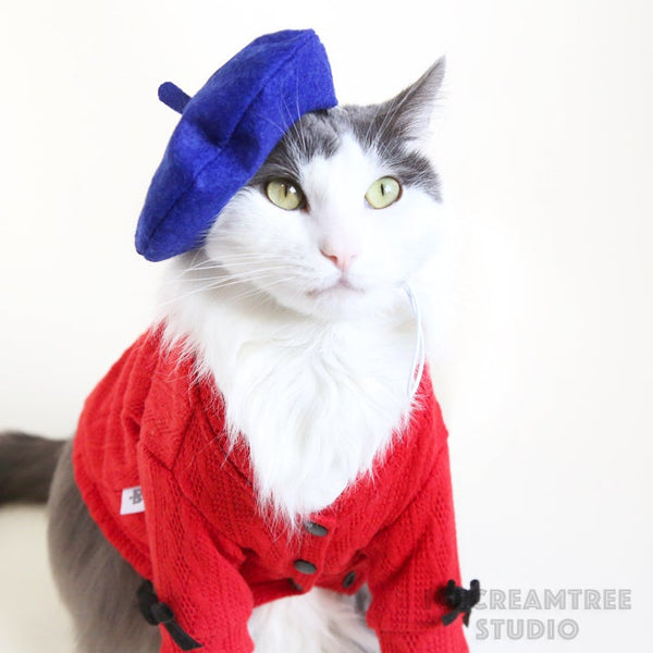 Cobalt Blue Beret Hat - Pet Petite Hat