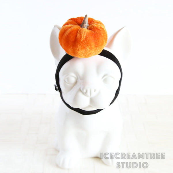 Pumpkin Headband - Pet Photo Prop
