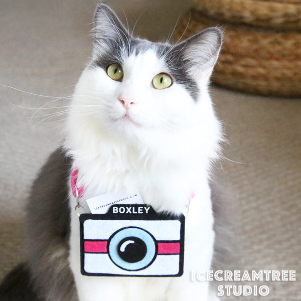 Pink Camera Necklace - Pet Photo Accessories