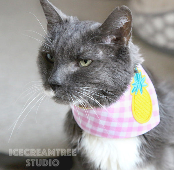 Candy Pink Gingham Check Pineapple Bandana - Tie on Modern Pet Bandana Scarf