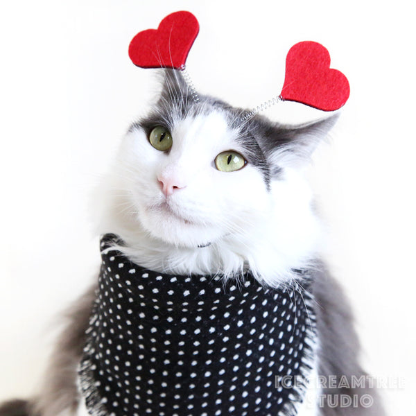 Red/Pink Hearts Headband - Pet Photo Prop