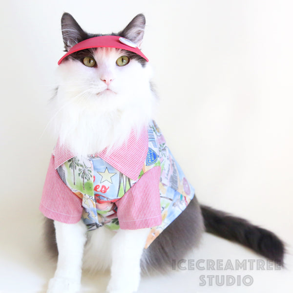 Red Visor Hat - Pet Petite Hat