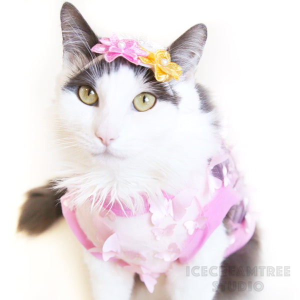 Triple Flower Headband - Elastic Pet Collar