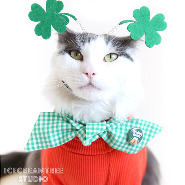 Irish Drinking Buddy Outfit - Pet Clothing