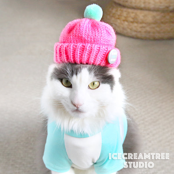 Neon Pink Beanie - Pet Petite Hat