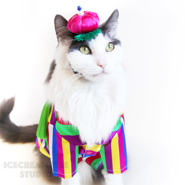 Korean Pumpkin Headband - Elastic Pet Collar