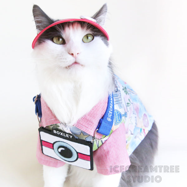 Red Visor Hat - Pet Petite Hat