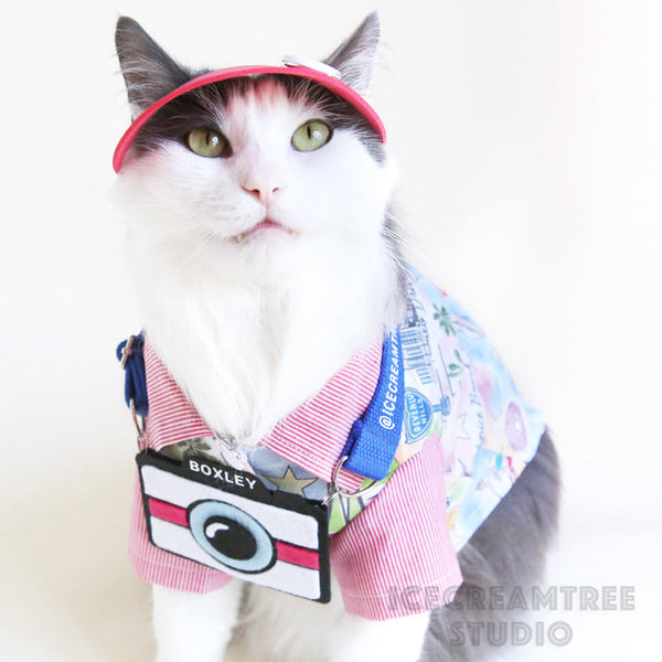 Purple Visor Hat - Pet Petite Hat