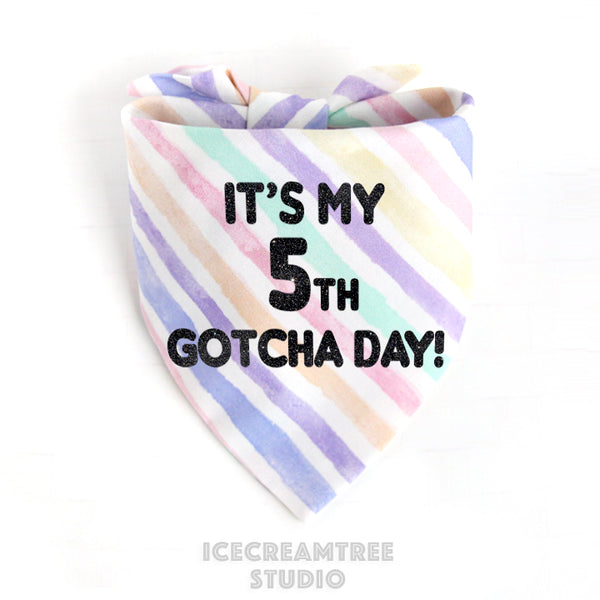Custom Balloon Party Birthday Bandana - Tie on Classic Pet Bandana Scarf