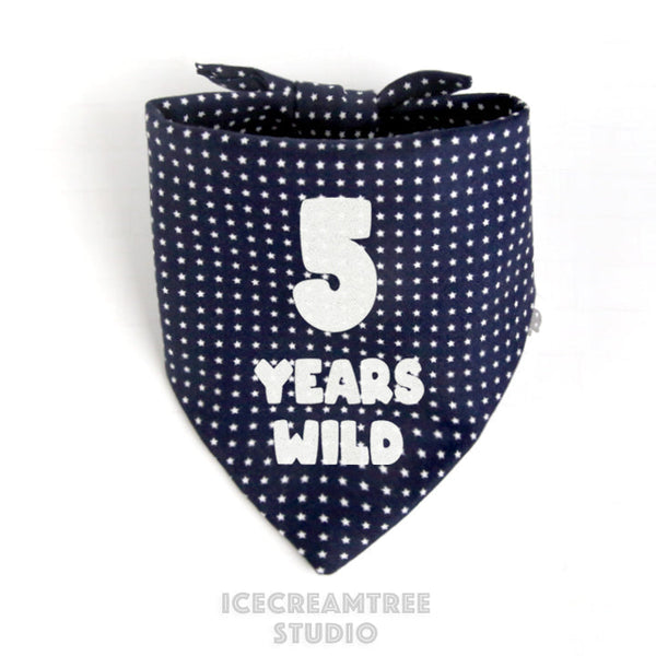Custom Balloon Party Birthday Bandana - Tie on Classic Pet Bandana Scarf