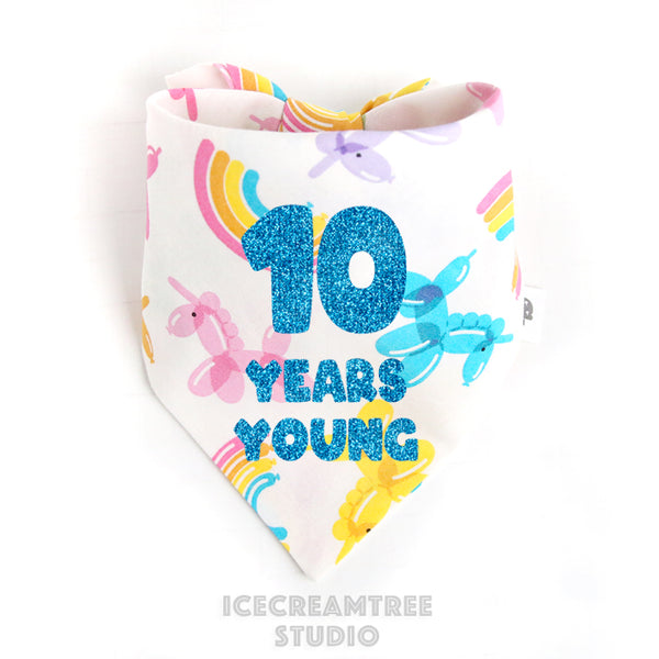 Custom Balloon Party Birthday Bandana - Tie on Classic Pet Bandana Scarf