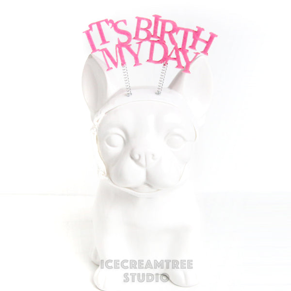 It's My Birthday Headband - Pet Photo Prop