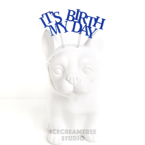 It's My Birthday Headband - Pet Photo Prop