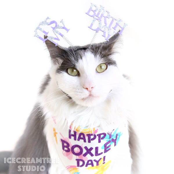 Custom Tie Dye Birthday Bandana - Tie on Classic Pet Bandana Scarf