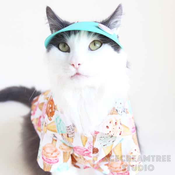 Jade Visor Hat - Pet Petite Hat