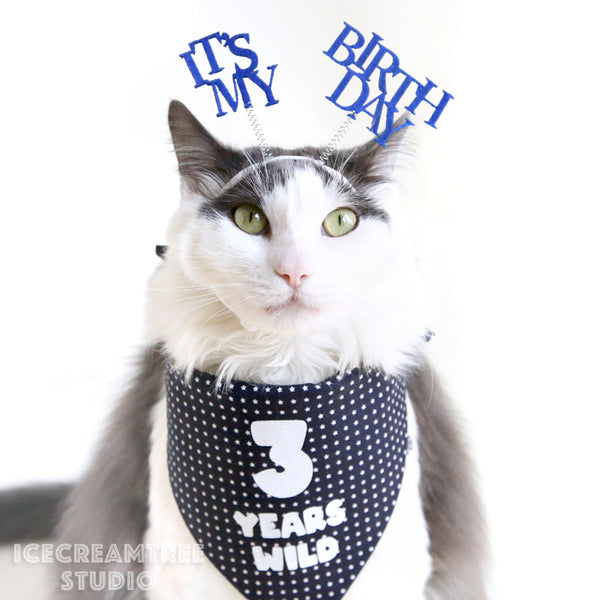 Custom Confetti Birthday Bandana - Tie on Classic Pet Bandana Scarf
