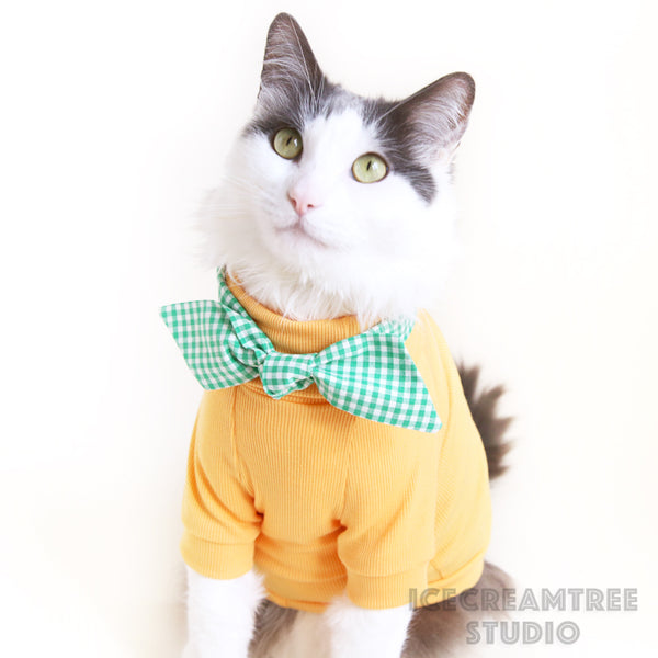 Spring Hunter Outfit - Pet Clothing