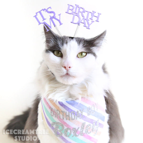 Custom Balloon Party Birthday Bandana - Tie on Classic Pet Bandana Scarf